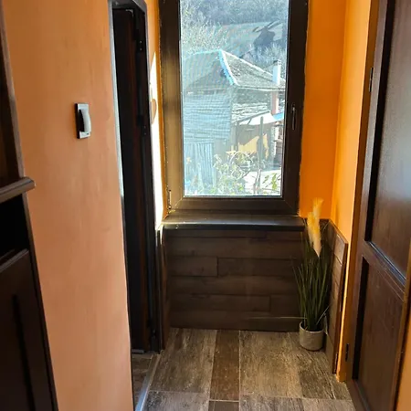 двата ореха Villa Protopopintsi