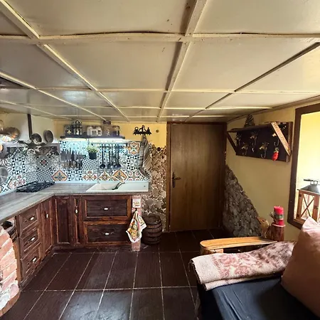 двата ореха Villa Protopopintsi