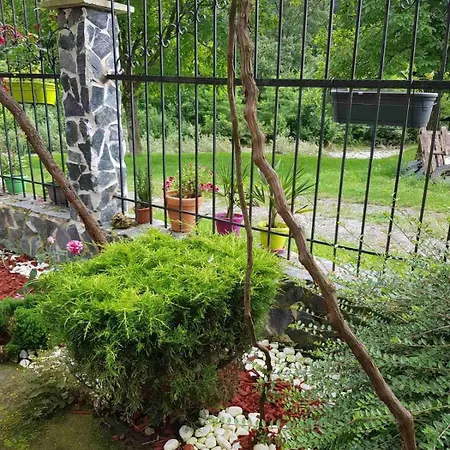 двата ореха Protopopintsi