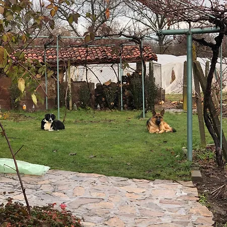 двата ореха *