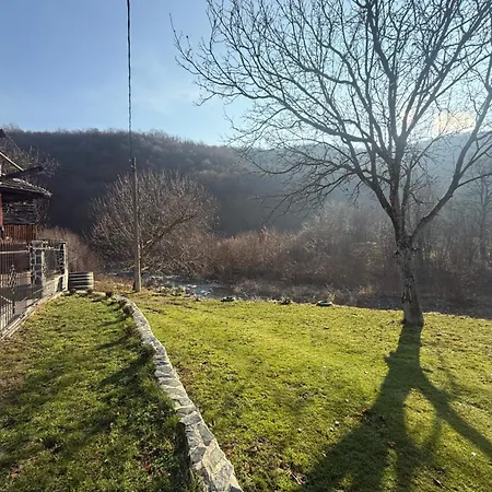 двата ореха