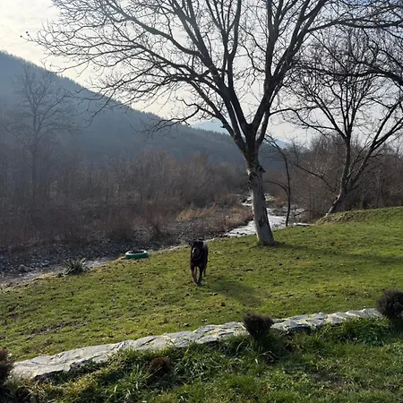 Villa двата ореха *