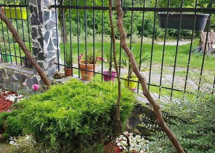 двата ореха Protopopintsi