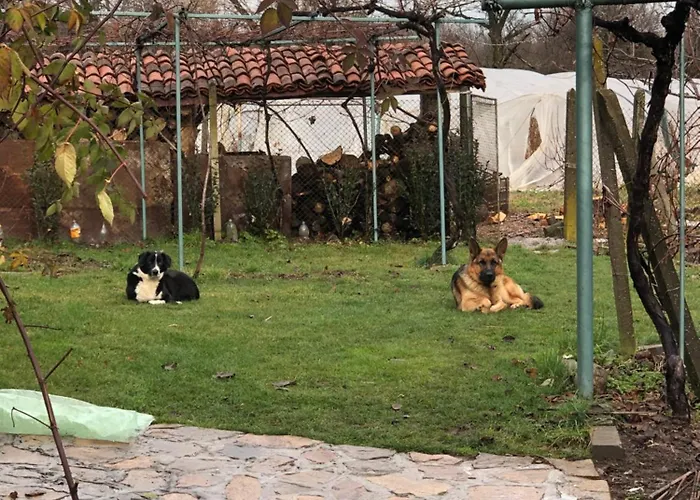 двата ореха *