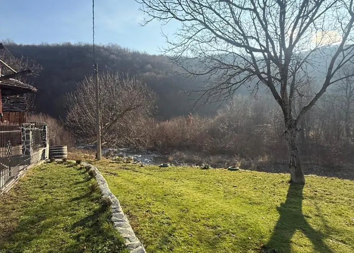 двата ореха