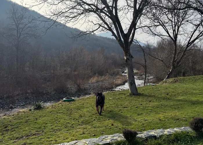 ヴィラ двата ореха *